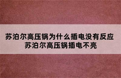 苏泊尔高压锅为什么插电没有反应 苏泊尔高压锅插电不亮